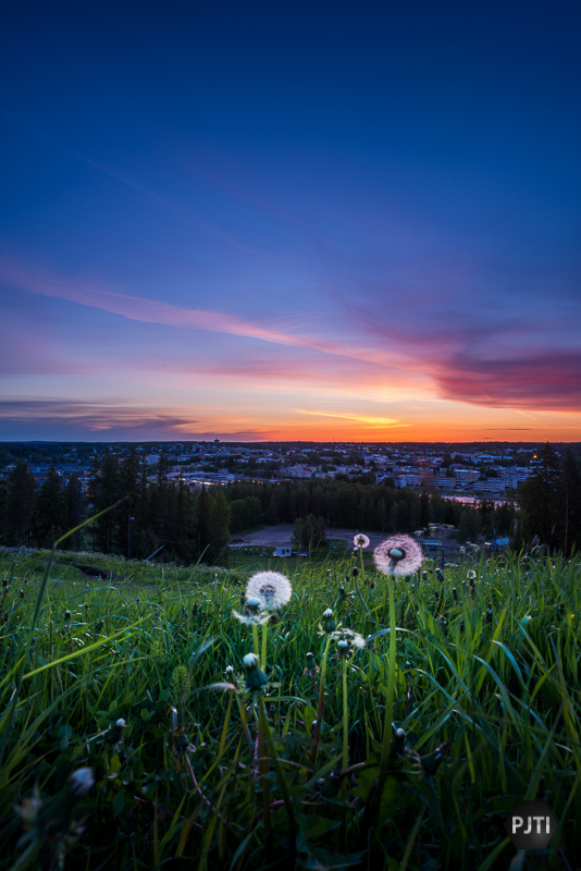Siemenpalloja Kokonmäellä